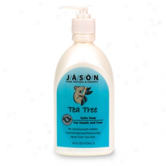 Jason Natural Cosmetics Pure Natural Hand Soap, Supper Tree