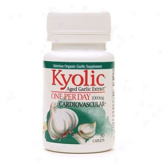 Kyolic Aged Garlic Extract, One Per Day Cardiovaascular 1000mg