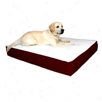 Majestic Pet Products Orthopedic Double Pet Bed Lqrge - Extra Large 34x48, Burgundy