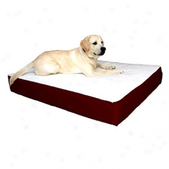 Majestic Pet Products Orthopeeic Double Pet Bed Small - Medium 24x34, Burgundy