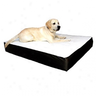 Majestic Pet Products Orthopedic Double Fondling Bed Small - Medium 24x34, Black