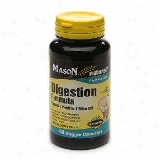 Mason Natural Digestion Formula, Probiotic & Prebiotic, Capsules