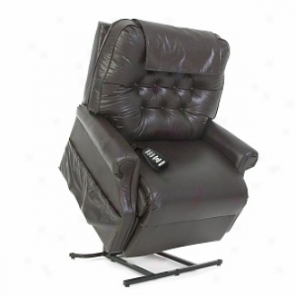 Mega Motion 2 Position Lift Chair Xx Large Model Gl358, Chestnut