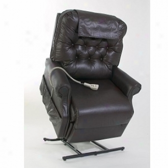 Mega Motion 3 Position Lifting Chair X Large Model Gl358, Vinyl Chestnut