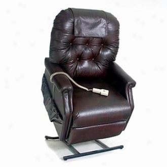 Mega Motion Easy Lift 3 Pro~ Chair Vinyl Model Lc300, Chestnut