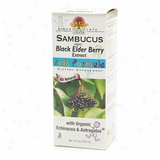 Nature's Answer Sambucus Black Elder Berry Extract, Kid's Formula