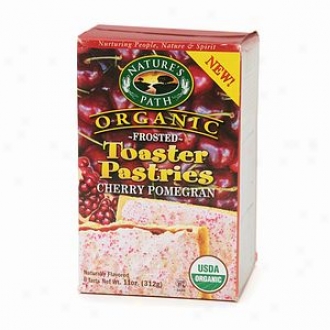 Nature's Path Organic Frosted Toaster Paqtries, Cherry Pomegranate