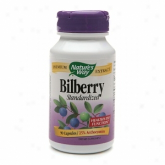 Nature's Way Bilberry Extract, 80 Mg, Capsules