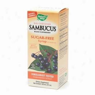 Nature's Way Sambucus, Black Elderberry Sugar Free Extract, Liquid