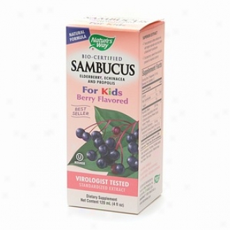 Nature's Way Sambuus For Kids, Berry Flavored