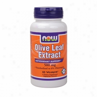 Now Foods Olive Leaf Extract, 500mf, Vegearian Capsules