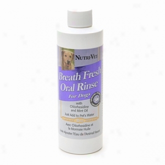 Nutri-vet Breath Fresh Dental Rinse, For Dogs, Moderate 2 Care