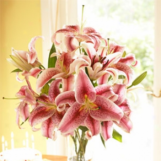 Organic Bouquet Lilies, Stargazer, 10 Stem