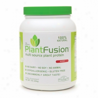 Plantfusion Multi Source Plant Protsin, Chocolate Raspberry