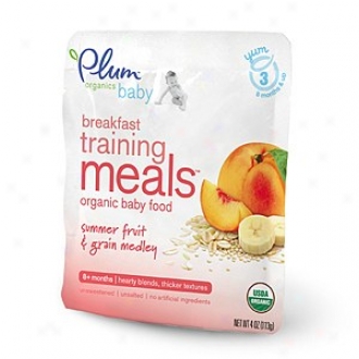 Plum Organics Baby Breakfast Training Meals Organic Baby Food: Stage 3, Summer Fruit & Grain Medley