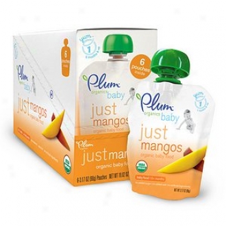Plum Organics Baby Just Fruits Organic Baby Food: Stage 1, 6-pack, Just Mangos