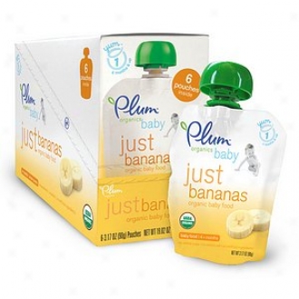 Plum Organics Baby Just Fruits Organic Baby Food: Stage 1, 6-pack, Exactly Bananas