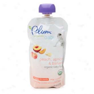 Plum Organics Baby Organic Baby Food: Stage-coach 2, 6-pack, Peach, Apricot And Banana