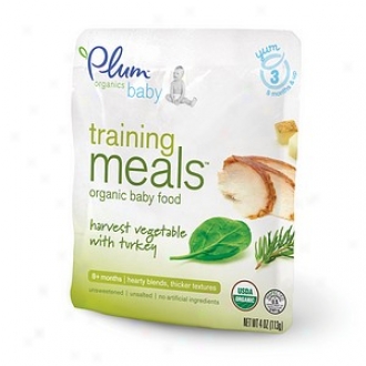 Plum Organics Baby Training Meals Organic Baby Food : Stage 3, Harvest Vegetable With Turkey