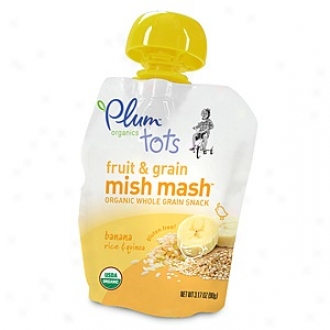 Plum Organics Tots Mish Mash Organic Fruit & Grain Puree Share, Banana Rice & Quinoa