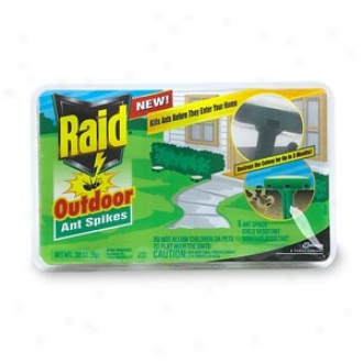 Raid Outdoor Ant Spikes