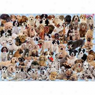 Ravensburger Dogs Galore! 1000 Piece Jigsaw Puzzle Ages 12+