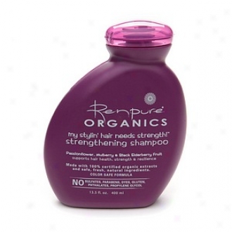 Renpure Organics My Stylin' Hair Needs Strength! Strengthening Shampoo 13.5 Oz