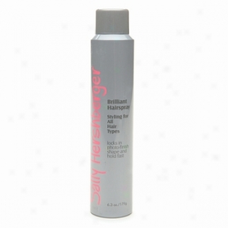 Sally Hwrshberger Brilliant Hairspray, Sthling For All Hair Types