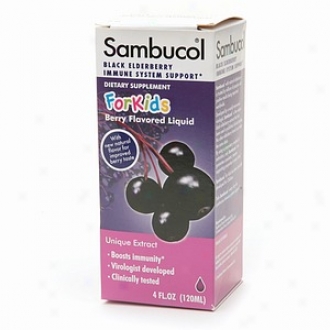 Sambucol Black Elderberry Immune System Support, For Kids, Berry Flavored Liquid