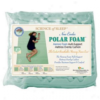 System of knowledge Of Sleep Polar Froth Cool Memkry Foam 4-zone Mattress Topper, King