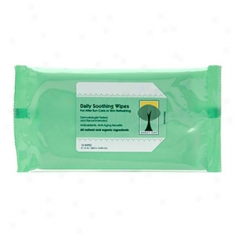 Shady Day Daily Sooothing Wipes For After Sun Be inclined Or Skin Refreshing