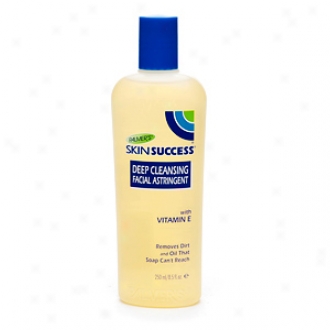 Skin Success Deep Cleansiny Facial Astringent By the side of Vitamin E