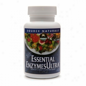 Source Naturals Essential Enzymes Ultra Premium Digestive Blend, Capsules