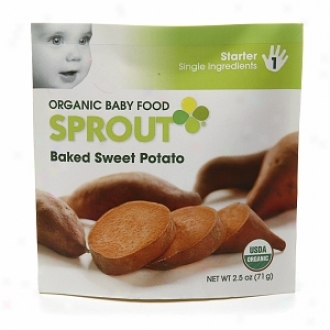 Sprout Organic Baby Food:  1 Starter: Sinvle nIgredients, Baked Sweet Potato