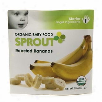 Sprout Organic Baby Food:  1 Starter: Single Ingredients, Roasted Banana