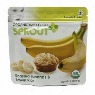 Acrospire Organic Baby Food:  2 Intermediate: Seven Months & Older, Roasted Bananas & Brown Rice