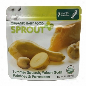 Sprout Organic Baby Food:  2 Intermeddiate: Seven Months & Older, Summer Squash, Yukon Gold Potatoes & Pwrmesan