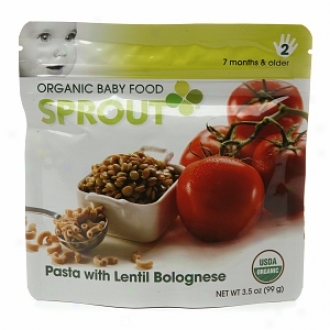 Sprout Organic Baby Food:  2 Intermediate: Seven Months & Older, Pasta With Lentil Bolognese