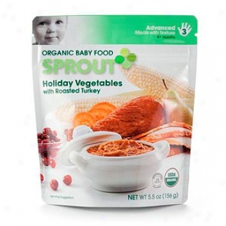 Sprout Organic Baby Food:  3 Advanced: Meals In the opinion of Texture, Holiday Vegetables With Roasted Turkey