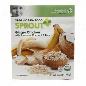 Sprout Ogranic Baby Food:  3 Advanced: Meals With Texture, Sweet Ginger Chicken With Bananas & Coconut