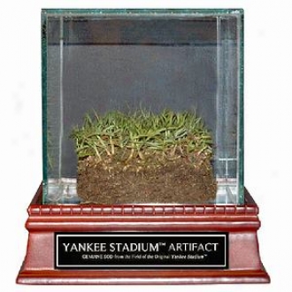 Steiner Sports Ny Yankee Staduim Authentic Grass In Commemorative Glass Case