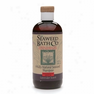 The Seaweed Bath Co. Wildly Natural Seaweed Shampoo, Lavender Scent