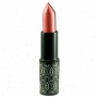 Fine part Withiut Cruelty Fool Infusion Moisturizing Lipstick, Cherry Blossom