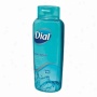 Dial All Day Freshness, Antibacterial Moisturizing Body Waash