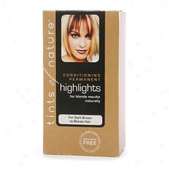 Tints Of Nature Conditionint Permanent Highlights For Blonde Results Naturally