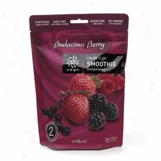 Vega Shake & Go Smoothie Resealable Bag, Bodacious Berry