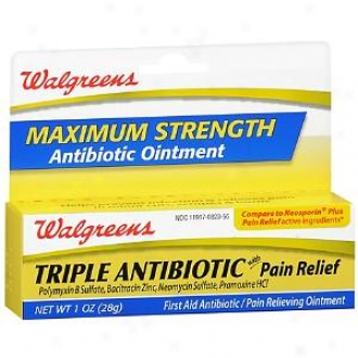 Walgreens Maximum Strength Triple Antibiotic Ointment In the opinion of Pain Reief