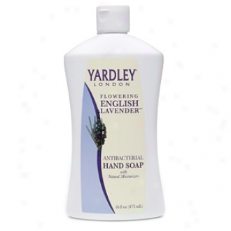 Yardley OfL ondon Antibacterial Hand Soap Refill, Flowering English Lavender