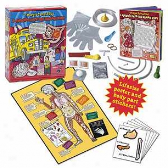 Young Scientists Club Magic School Bus Journey Through The Human Body Ages 5+